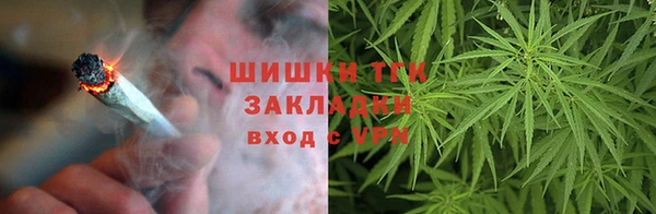 гашик Арсеньев
