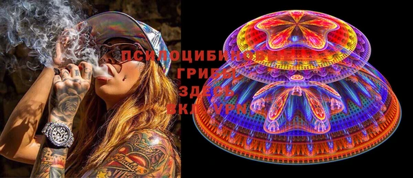 гашик Арсеньев