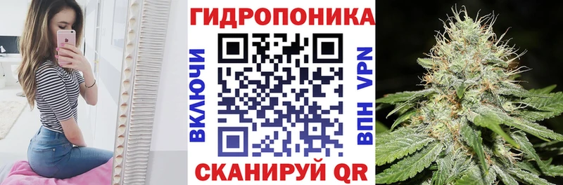 маркетплейс как зайти  Пушкино  Конопля гибрид 